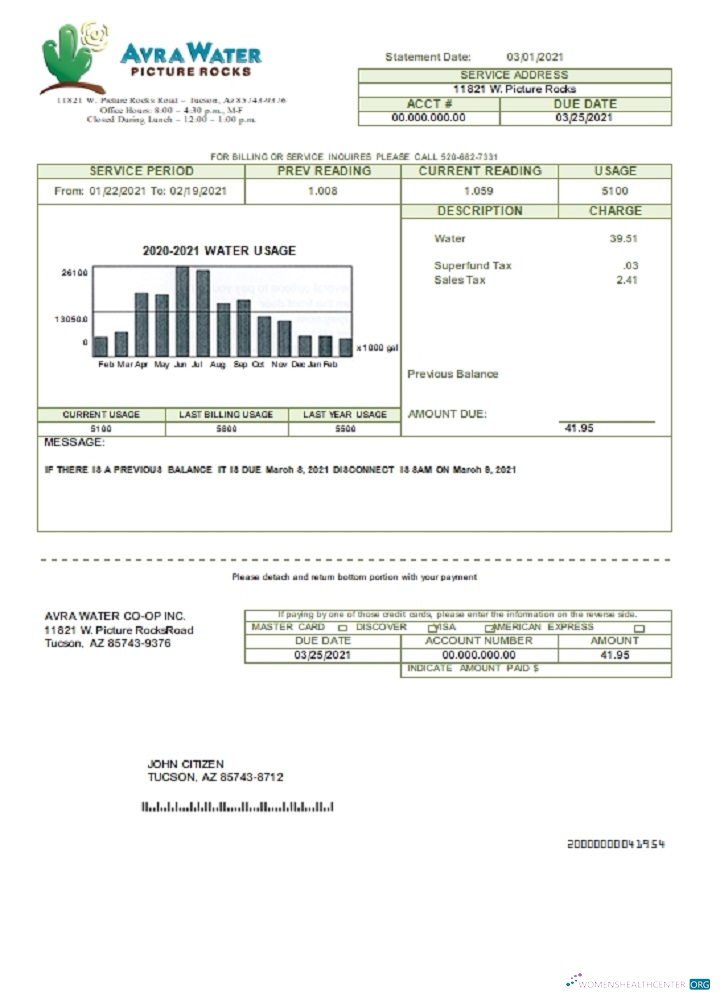 download download USA Arizona Avra Water utility bill template in Word and PDF format PDF template PDF template